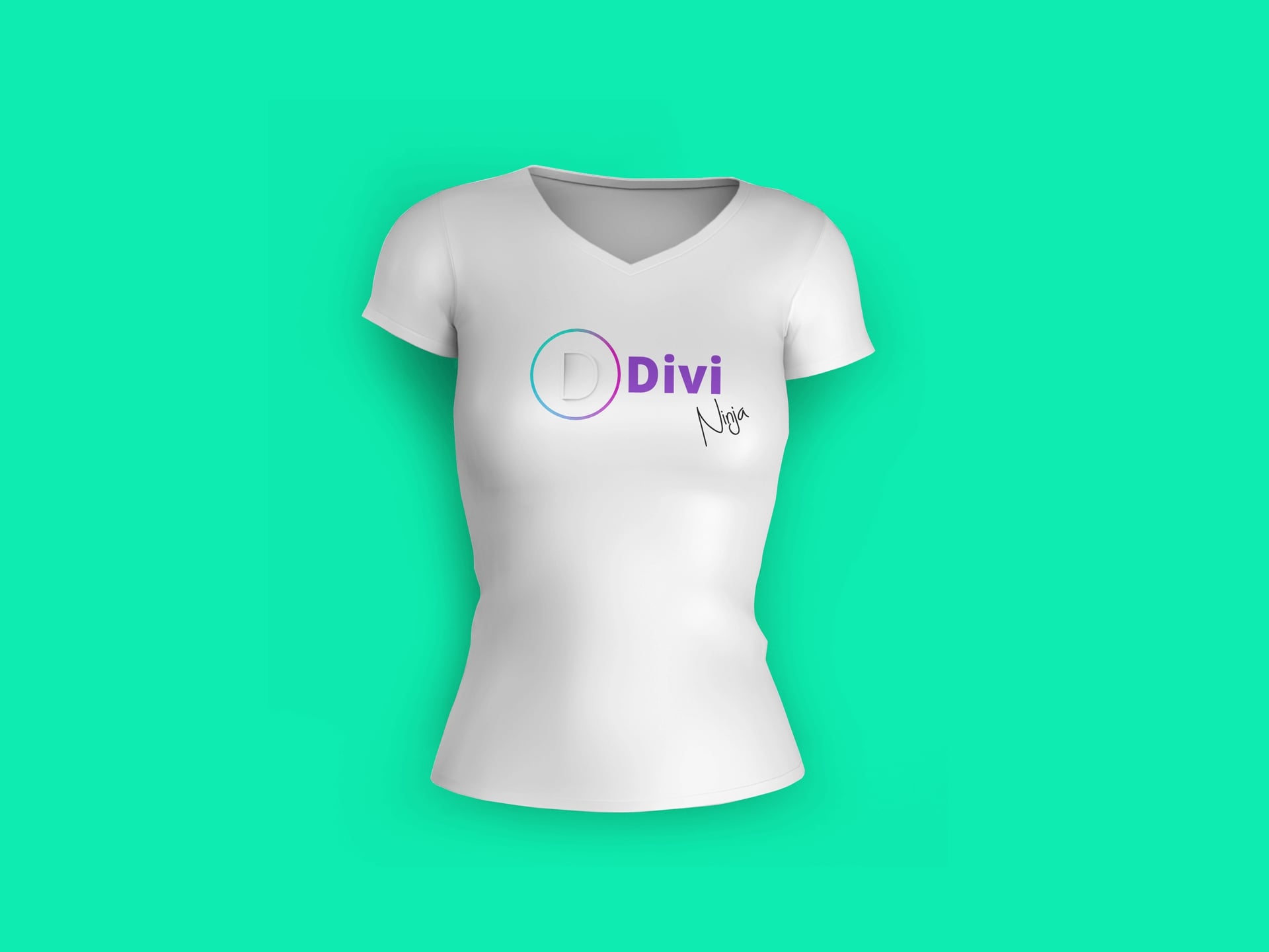Divi Ninja.jpg