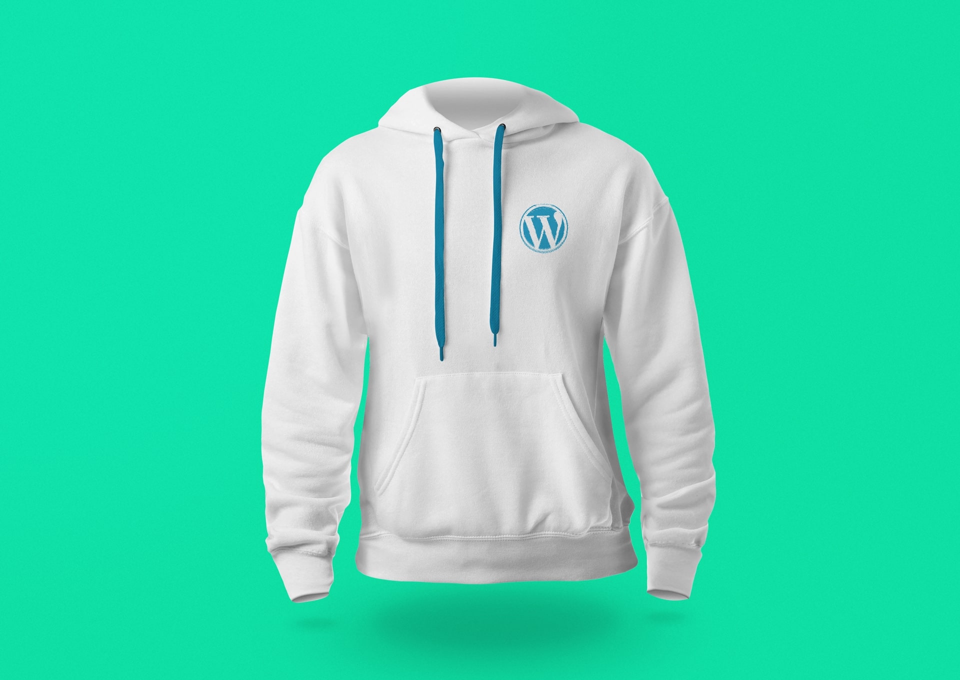 Hoodie 3.jpg
